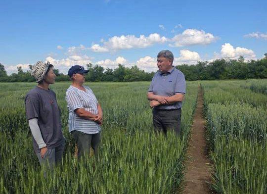 Цех по производству органической продукции откроют в НПЦЗХ имени Бараева