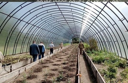 Алтайский ботанический сад получил сеянцы ели сибирской 