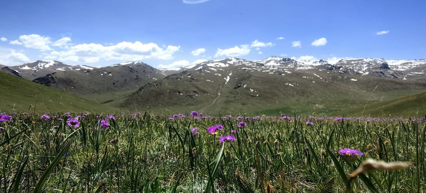 В Жамбылской области создан региональный природный парк «Мерке» 