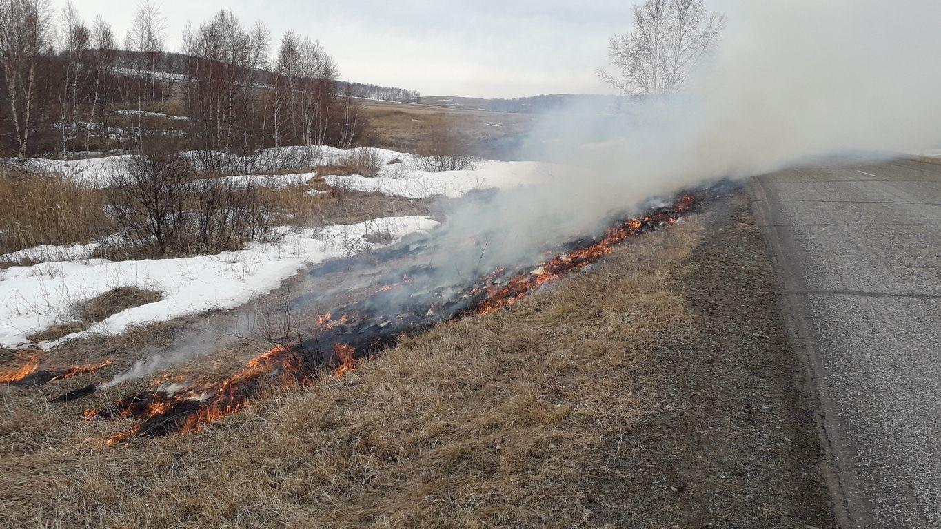 Национальный парк «Бурабай» усилил готовность к защите лесов