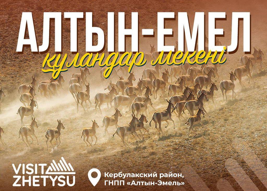 В Жетысу представили календарь туристских мероприятий на 2026 год