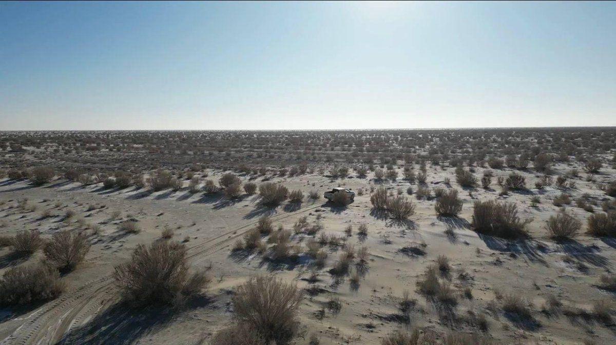 На осушенном дне Аральского моря апробируется метод аэросева и создания пастбищных угодий