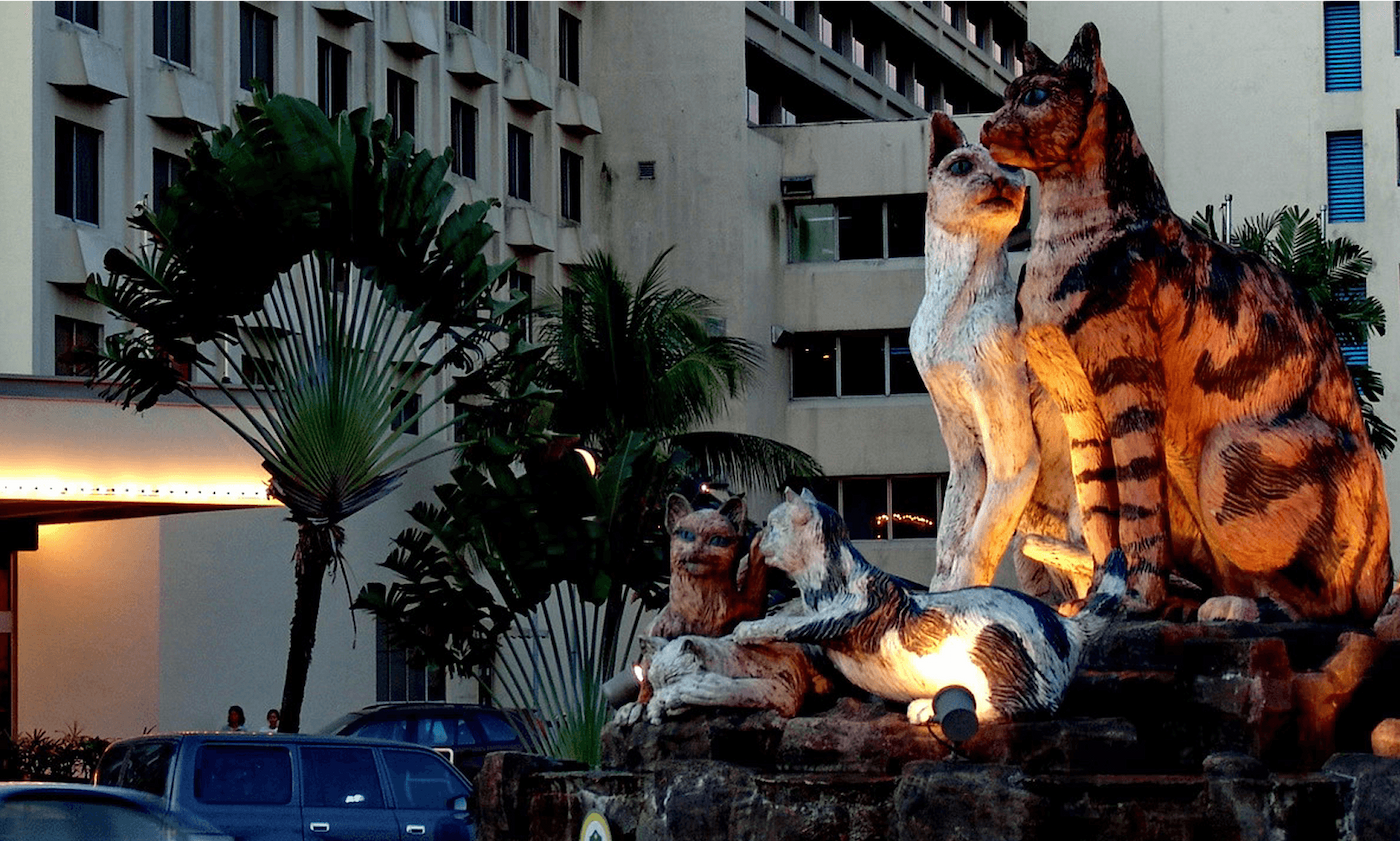 Джунгли Борнео