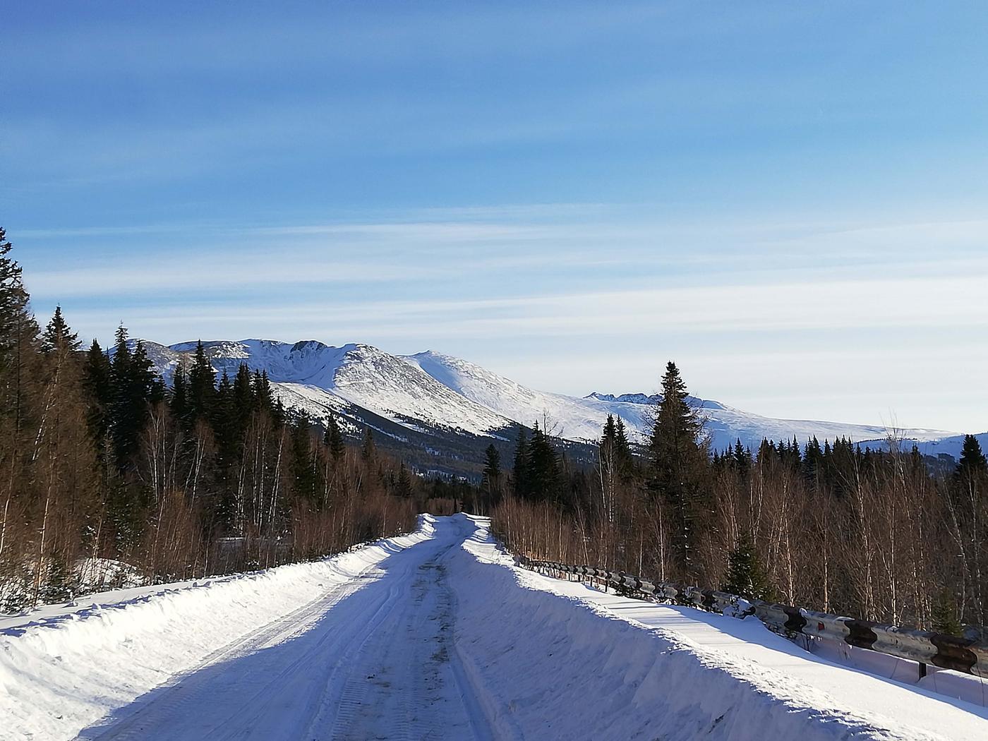 Лесные сказы казахстанского Алтая 