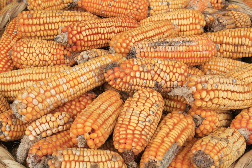 Чего добились аграрии 