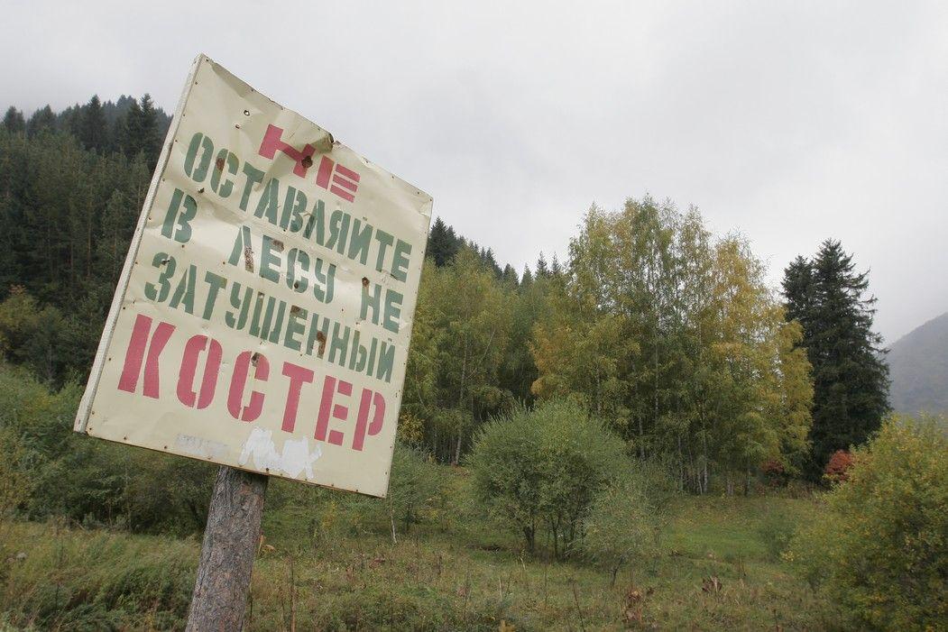 Лесная готовность