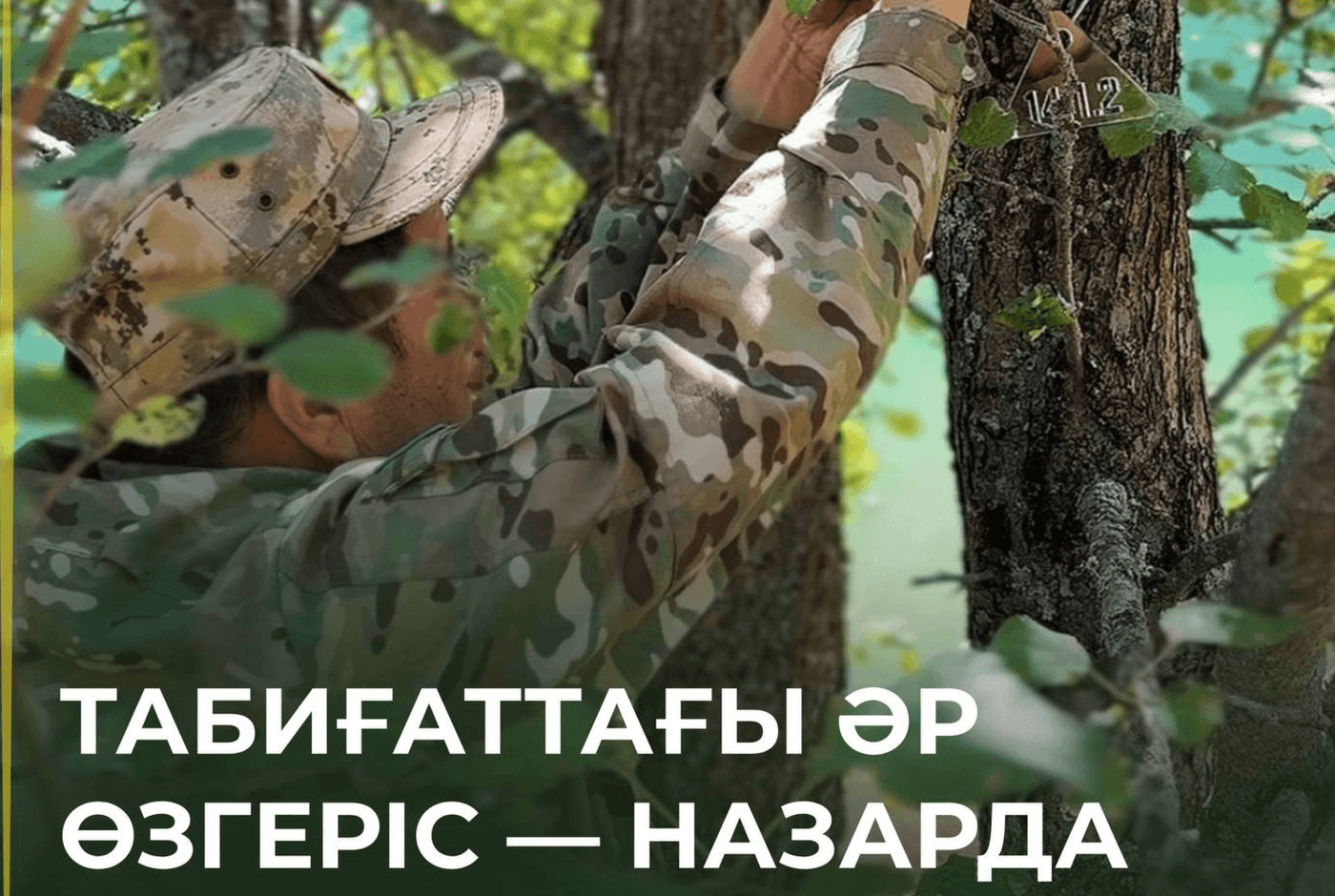 В Кольсае ведется долгосрочный мониторинг природных экосистем