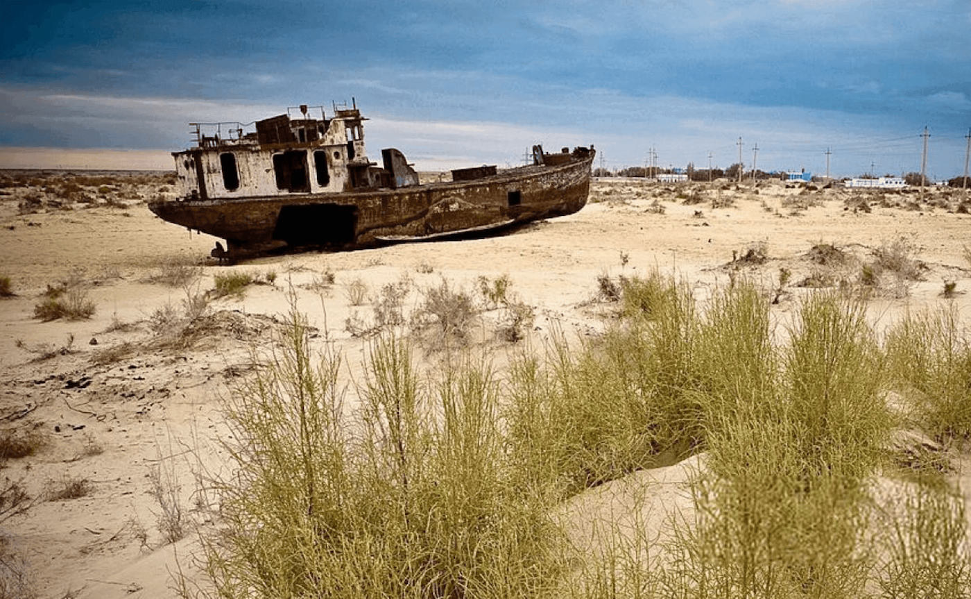 Сохранение Северного Арала