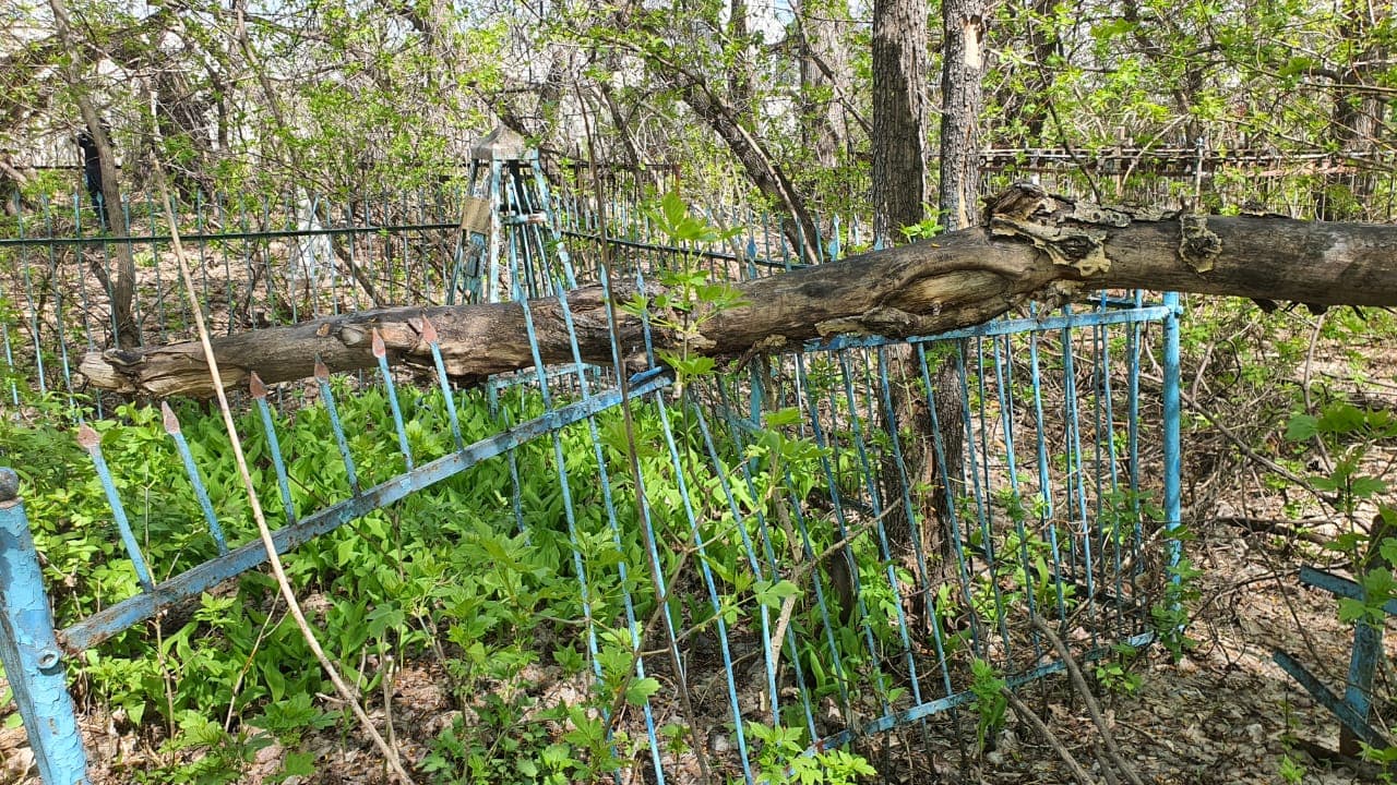 Кладбищенская грусть 