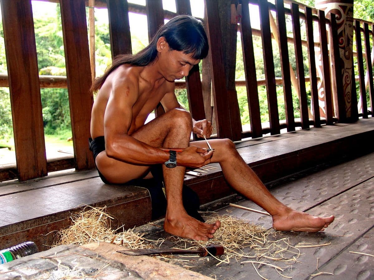 Джунгли Борнео