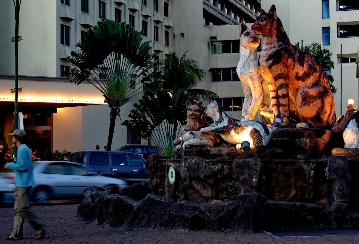 Джунгли Борнео-6