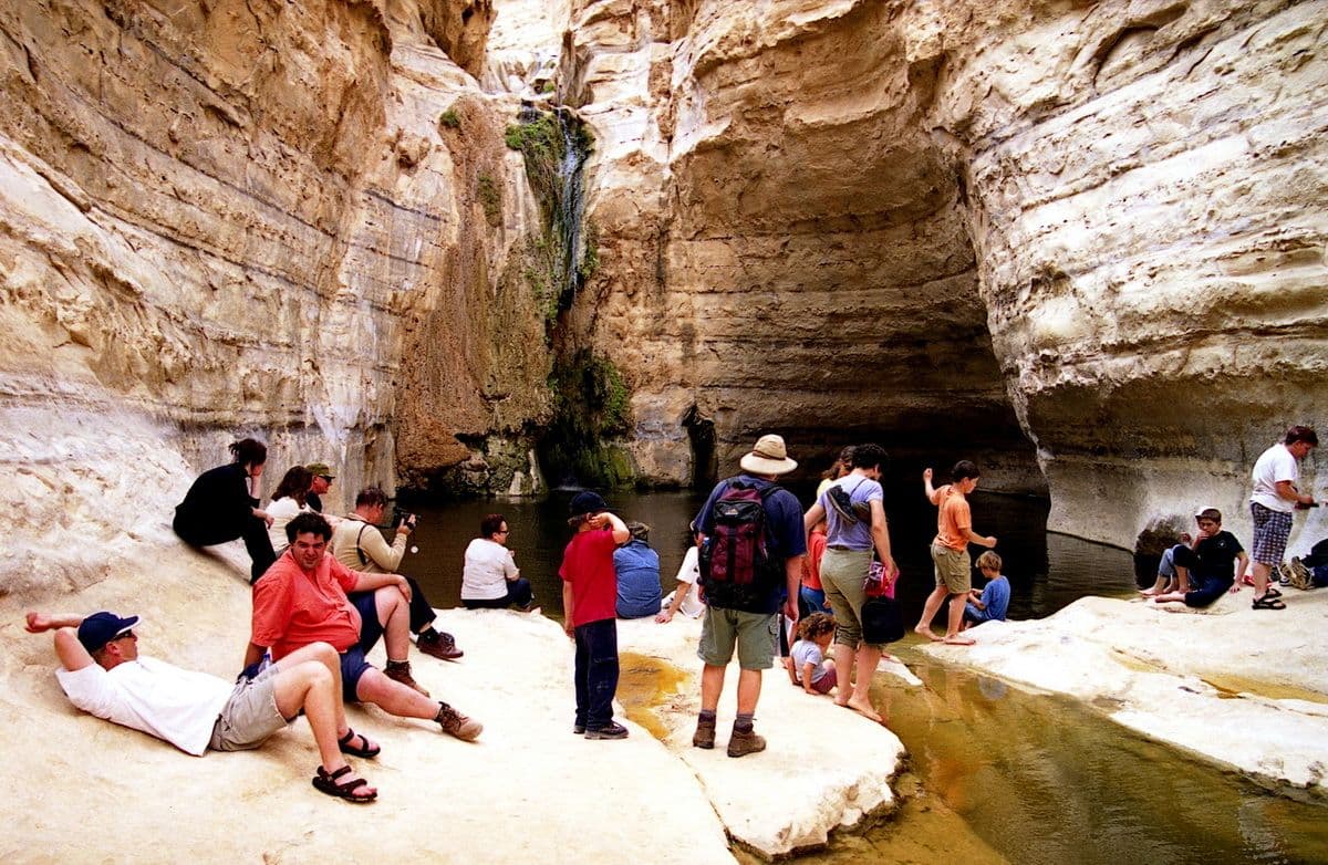 Прихожая Земли Обетованной