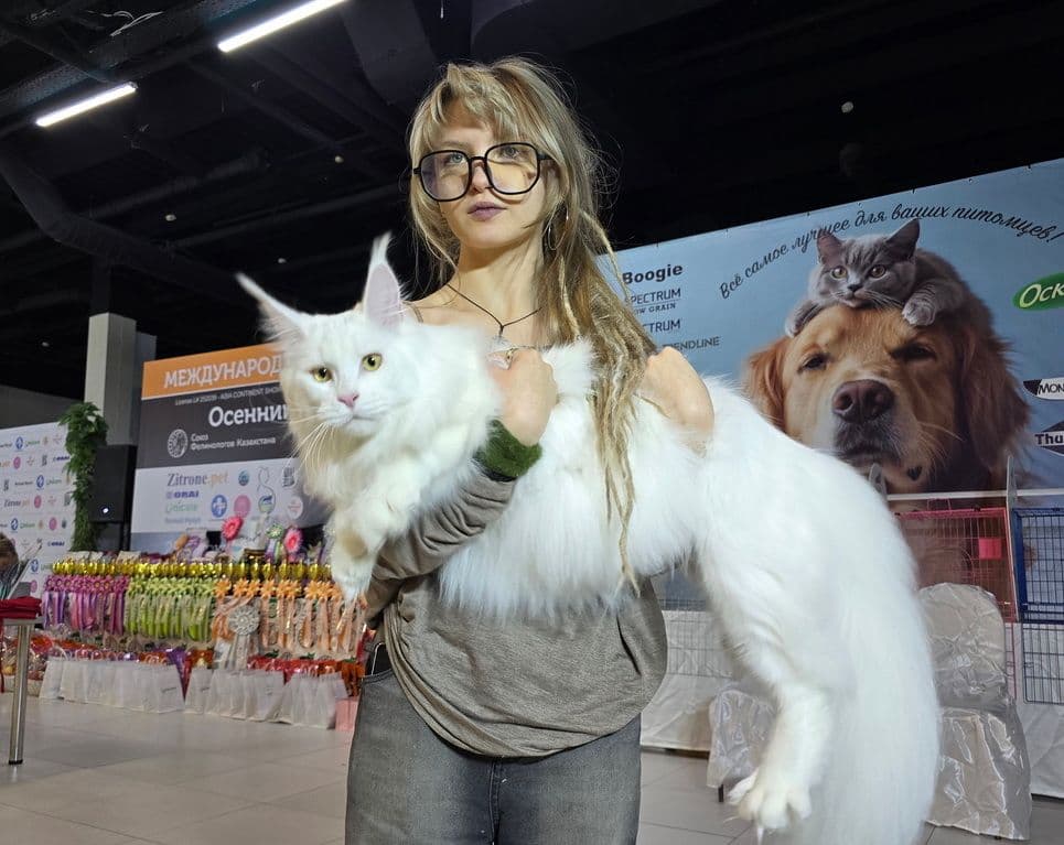 Теплое урчащее счастье