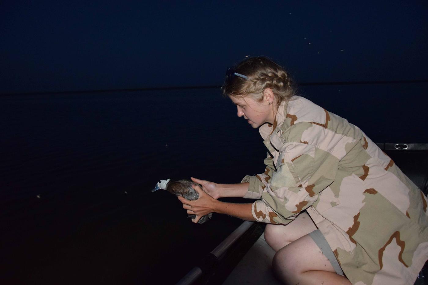 Пернатые — часть мировой экосистемы 