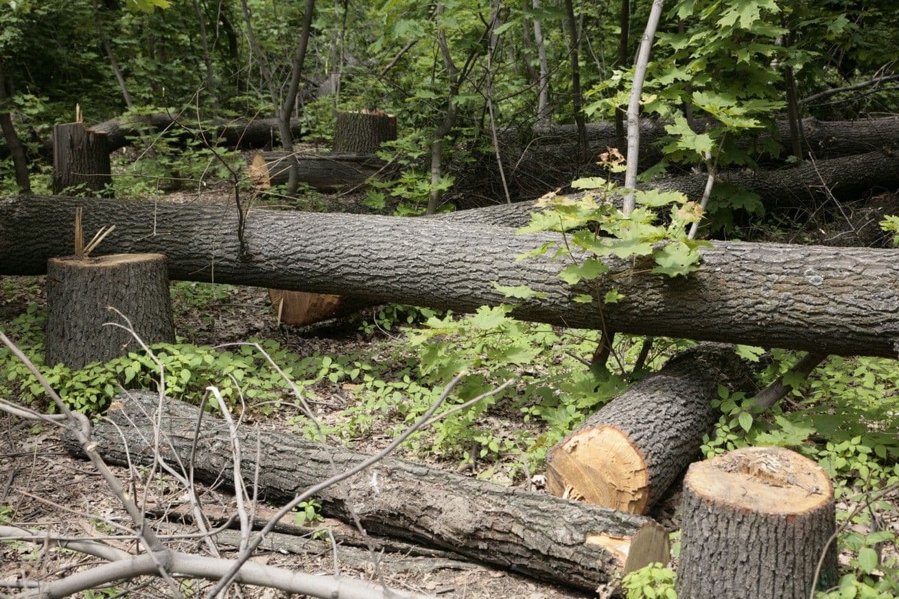 Сохранить и приумножить