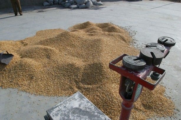 Казахстан теряет рынки сбыта зерна