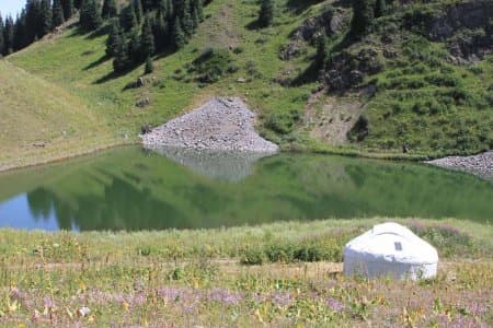 Природный парк и… коровы в водозаборе