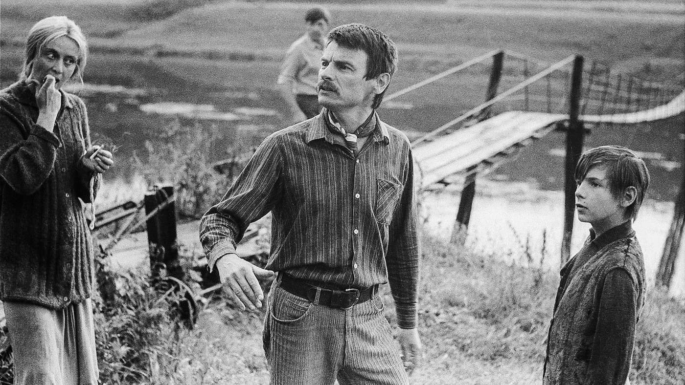 Зеркало. 50 лет