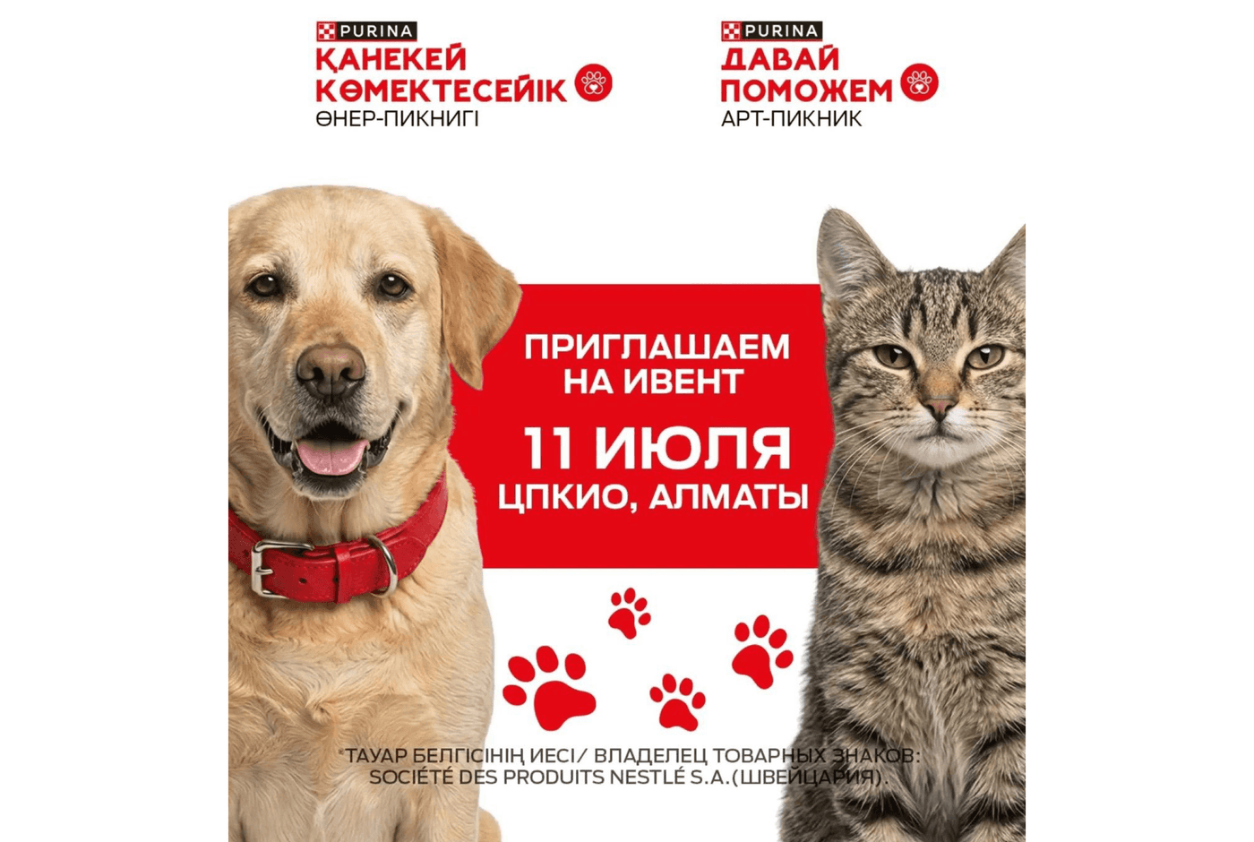 "Давай поможем!"