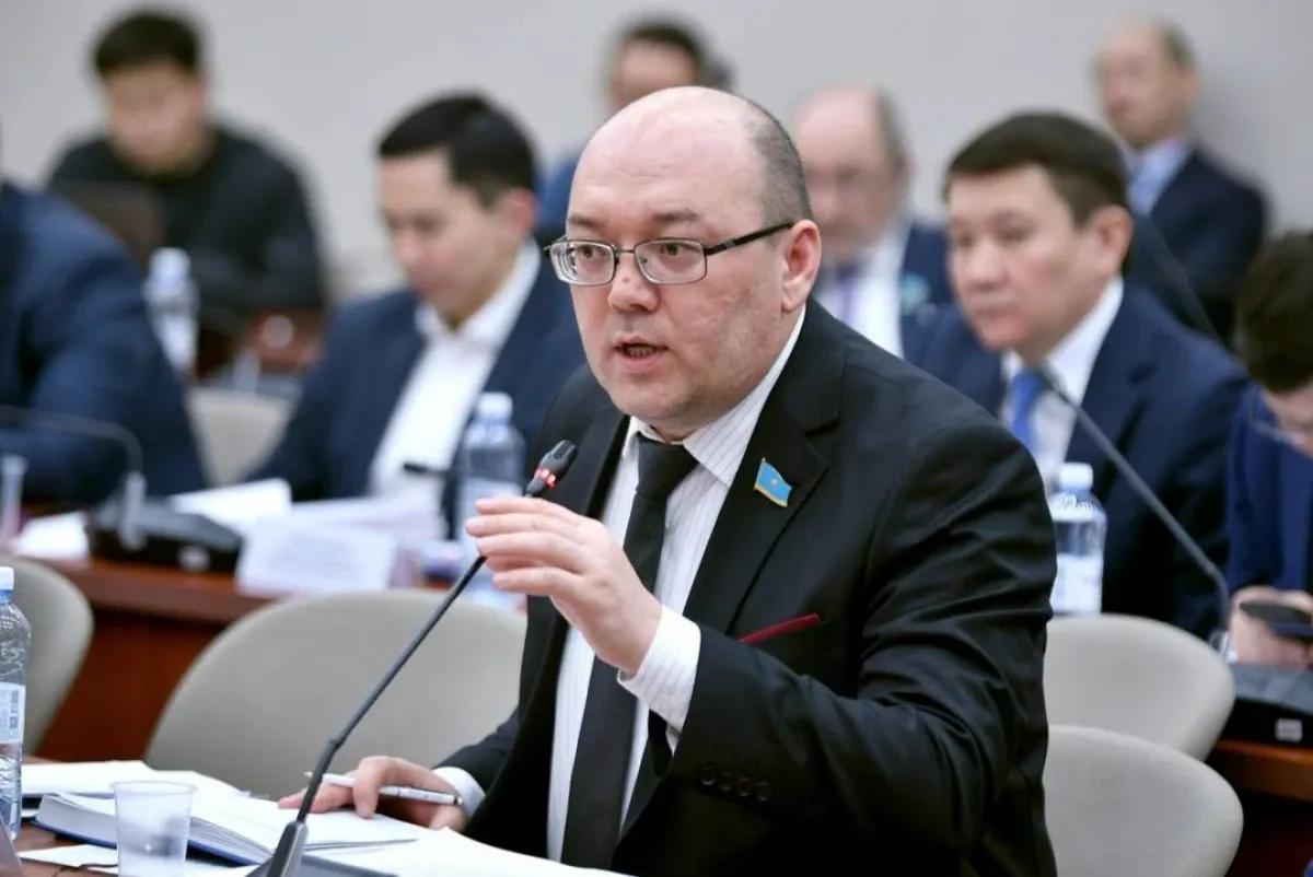 Еще одни депутаты не согласны с Правительством